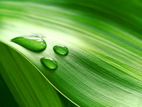 FaST Foam-activated Scrubbing Technology