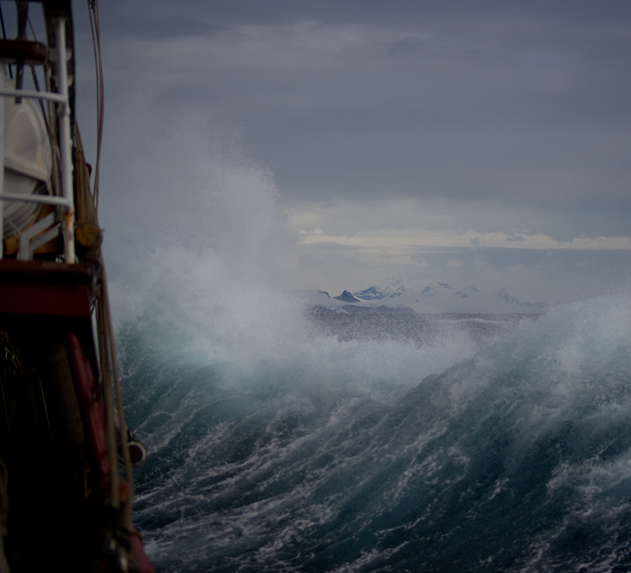 Natural Disaster Clean-Up