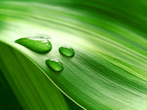 Technologie de récurage à base de mousse FaST