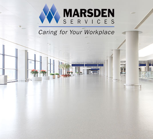 Estudo de caso de sucesso da start-up Marsden South